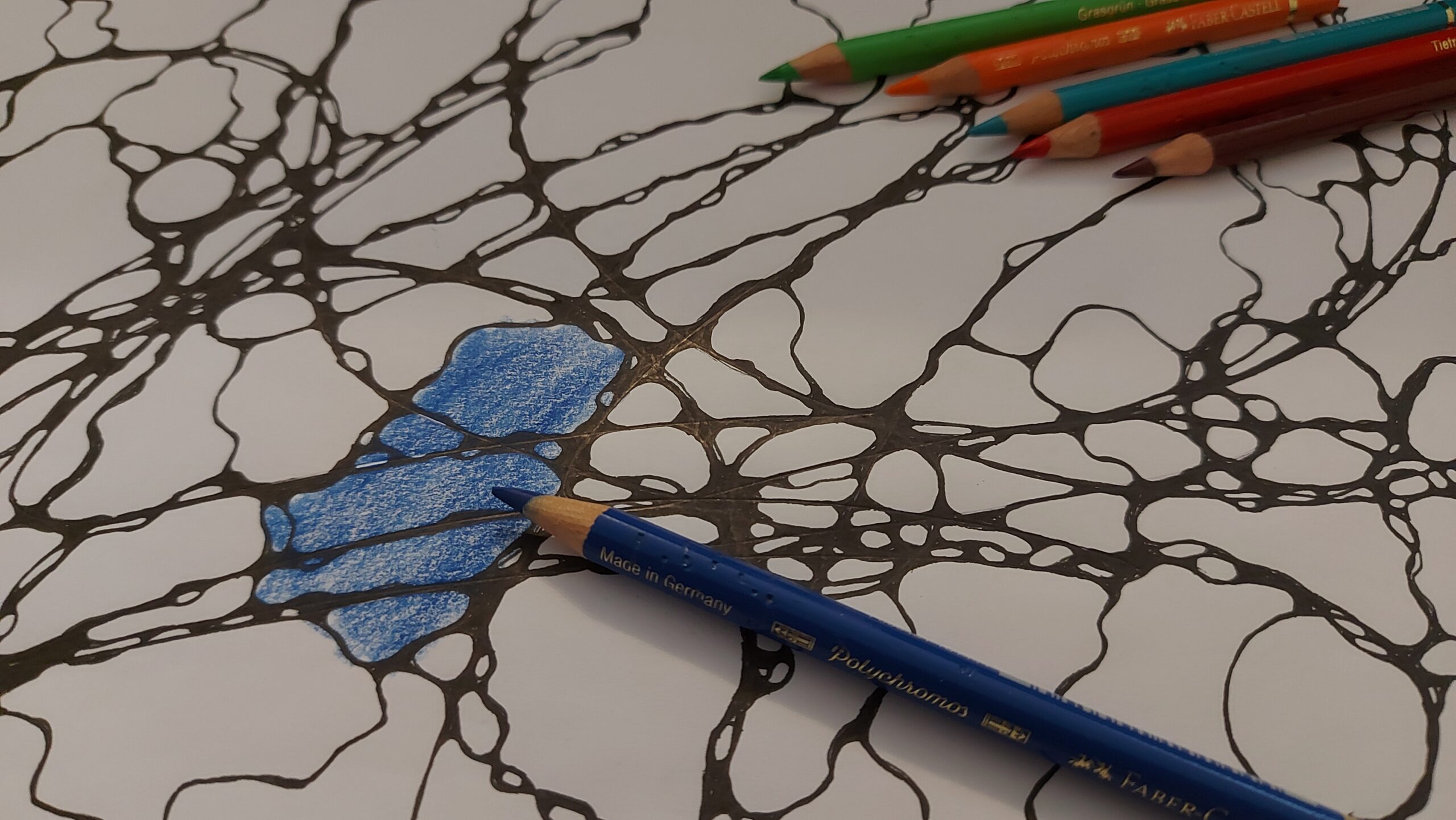 Kreativer Raum mit FlowLines